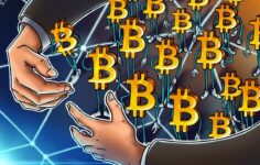 Bitcoin kısa vadeli yatırımcıları, fiyat 115.000$ seviyesinde seyretmeye devam ederken kar realizasyonunu azalttı
