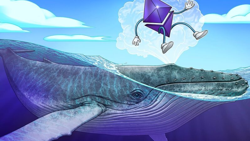 Uykuda Olan Ethereum Balinası 28 Milyon Dolarlık ETH Aldı, ‘V Şeklinde’ Yükseliş Umutlarını Ateşledi