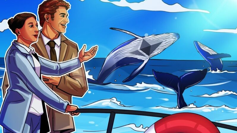 Ether birikimi hızlanıyor: BitMine ve bir balina 882 milyon dolar değerinde ETH aldı