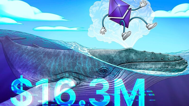 Ethereum balinası 16,3 milyon dolarlık long pozisyon açtı, ETH fiyatı toparlanma sinyali veriyor