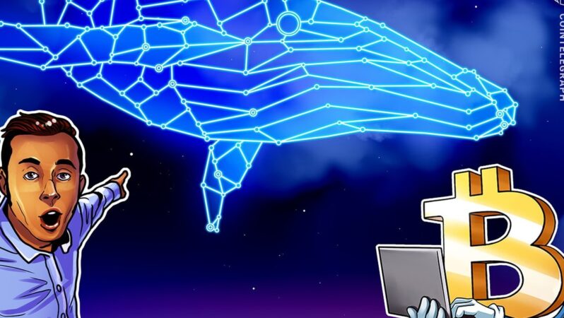 Bitcoin balinası tekrar satışa başladı, BTC 116.000 dolarda yatay seyrediyor