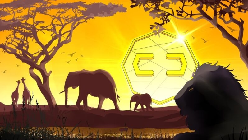 Sahra Altı Afrika, Kripto Benimsemede Üçüncü En Hızlı Büyüyen Bölge: Rapor
