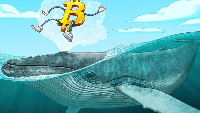 Bitcoin balinaları, 2022 ortalarından bu yana en büyük satışta 115.000 BTC sattı