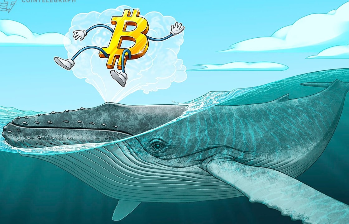 Bitcoin balinaları, 2022 ortalarından bu yana en büyük satışta 115.000 BTC sattı