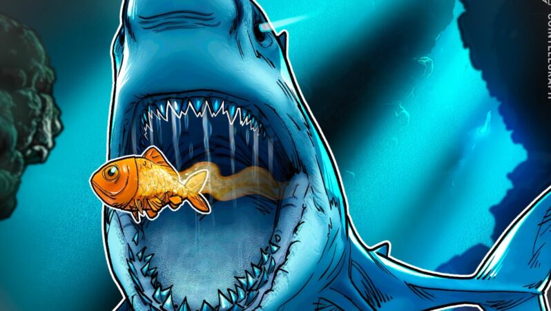 İngiltere Bitcoin Hazinesi Şirketi Smarter Web Company Satın Almaları Değerlendiriyor