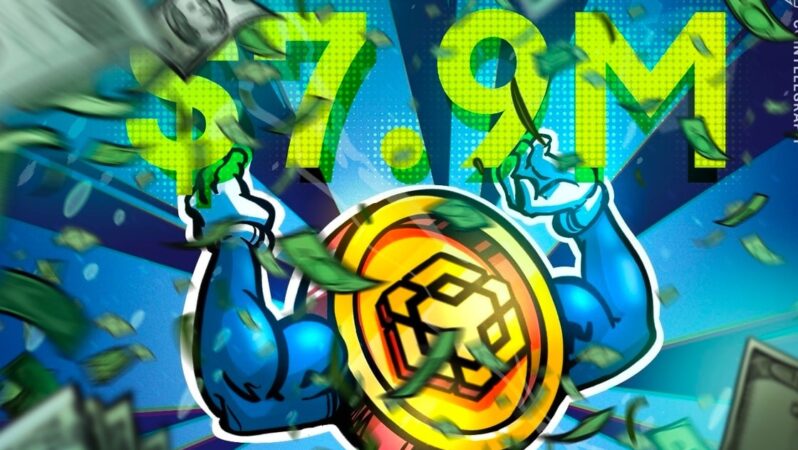 BNB Chain memecoinleri çılgın işlem haftasında yeni milyonerlere dönüştürdü