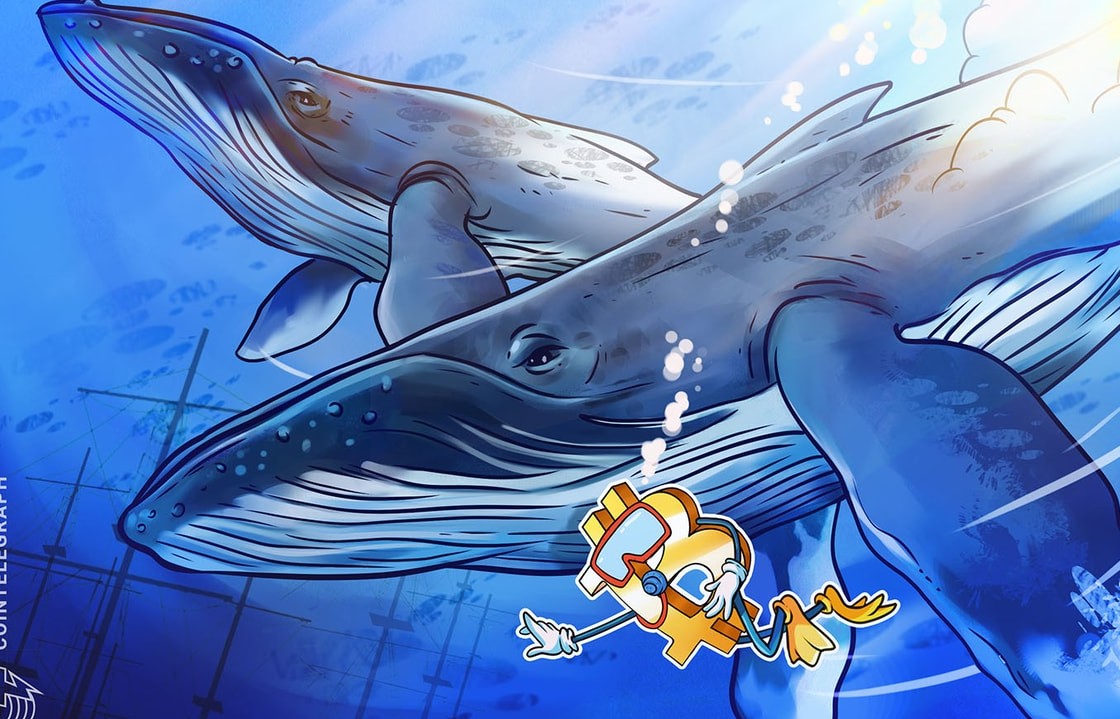 Bitcoin’in ikinci en büyük balina birikimi BTC’yi 106.000 doların üzerine çıkaramadı