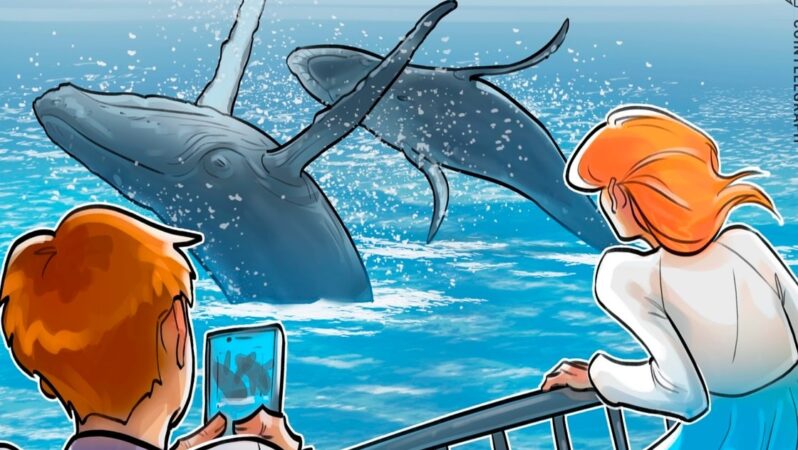 Bitcoin balina aktiviteleri, bu yılın en yoğun haftasına doğru ilerliyor: Analistler