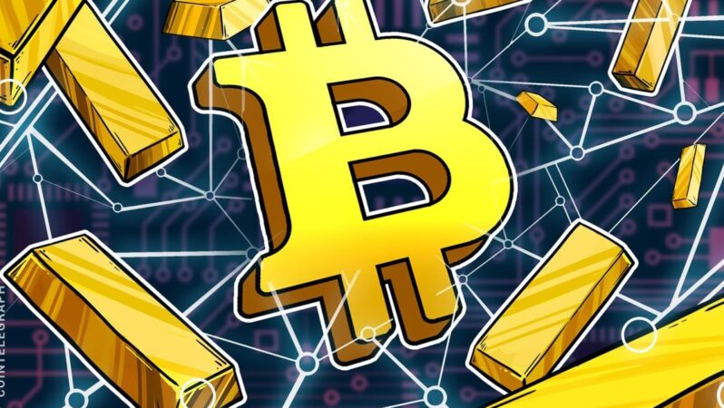 Bitcoin altyapıdır, dijital altın değil