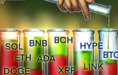 Fiyat Tahminleri 11/5: BTC, ETH, BNB, XRP, SOL, DOGE, ADA, HYPE, LINK, BCH