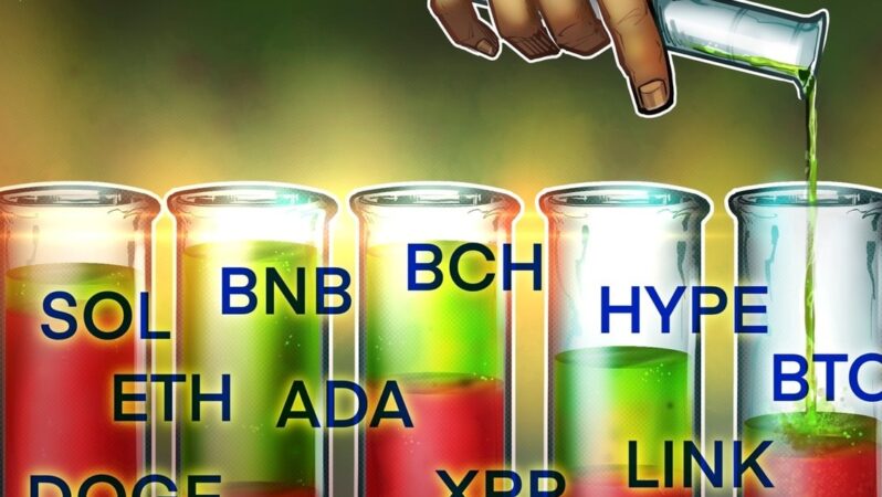 Fiyat Tahminleri 11/5: BTC, ETH, BNB, XRP, SOL, DOGE, ADA, HYPE, LINK, BCH