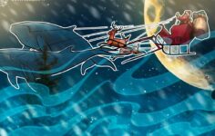 Perakende Yatırımcılar mı, Balinalar mı: Santa Rally’i Gerçekten Kim Yönlendiriyor?