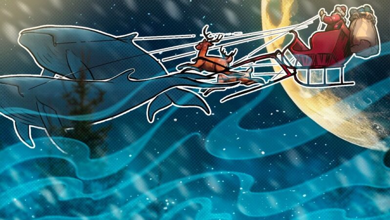 Perakende Yatırımcılar mı, Balinalar mı: Santa Rally’i Gerçekten Kim Yönlendiriyor?