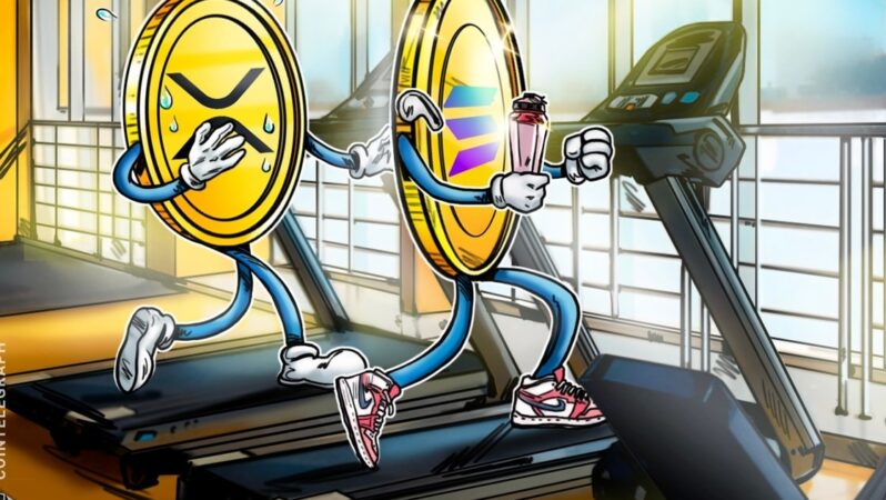 XRP, Rekabeti Sürdürmek İçin Solana Tarzı Bir Stratejiye İhtiyaç Duyuyor: Ripple Yöneticisi