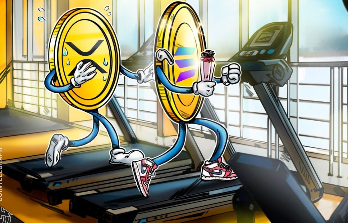 XRP, Rekabeti Sürdürmek İçin Solana Tarzı Bir Stratejiye İhtiyaç Duyuyor: Ripple Yöneticisi
