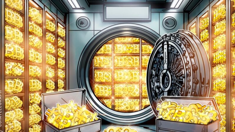 Bitcoin Hazineleri 4. Çeyrekte Yavaşladı, Ancak En Büyük Sahipler Sats Biriktirmeye Devam Ediyor